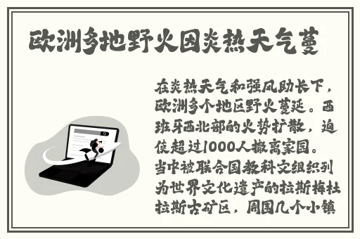 小猪视频免费观看下载大全